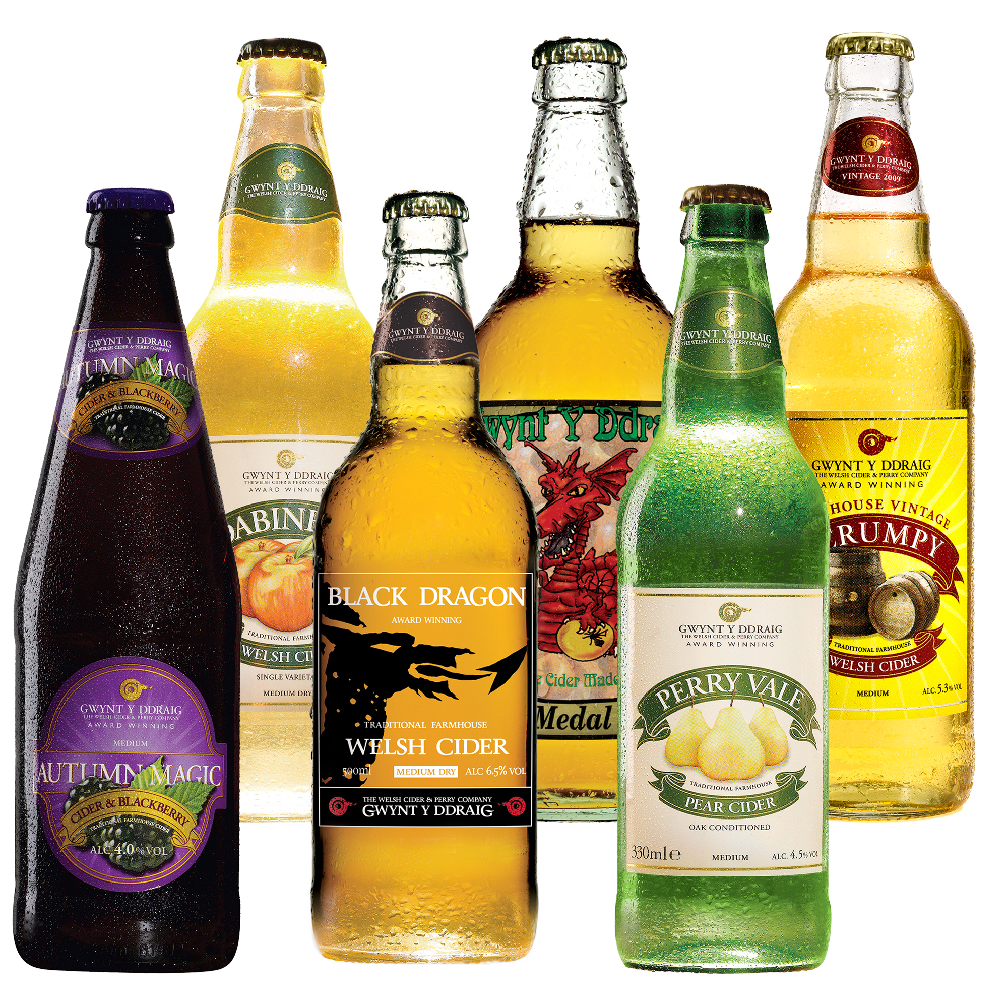 Gwynt y Ddraig Cider-Package 6x500ml