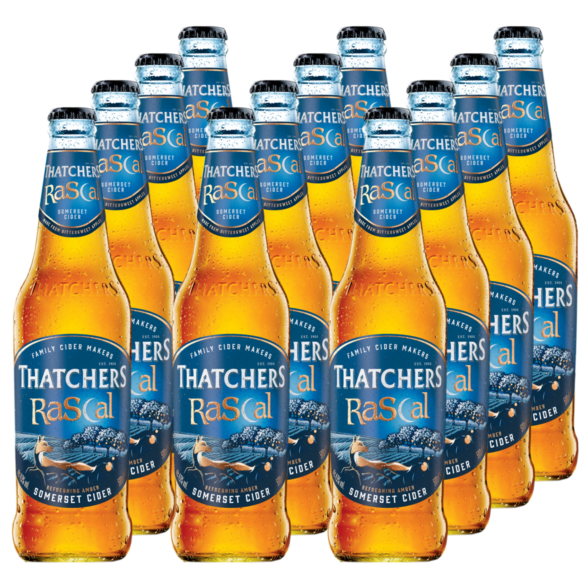 Thatchers Rascal Cider 12x500ml Thatchers Rascal Cider 12x500ml