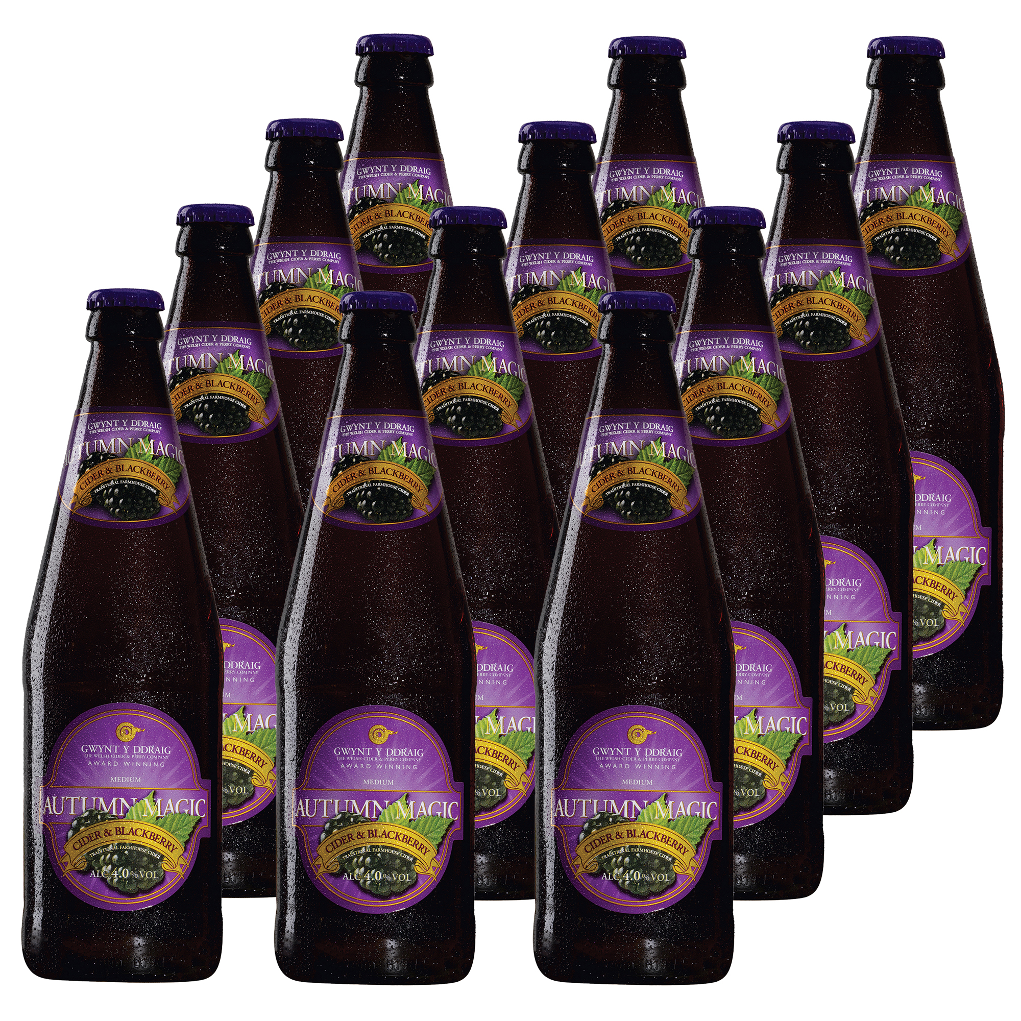 Gwynt y Ddraig Autumn Magic Cider 12x500ml Gwynt y Ddraig Autumn Magic Cider 12x500ml
