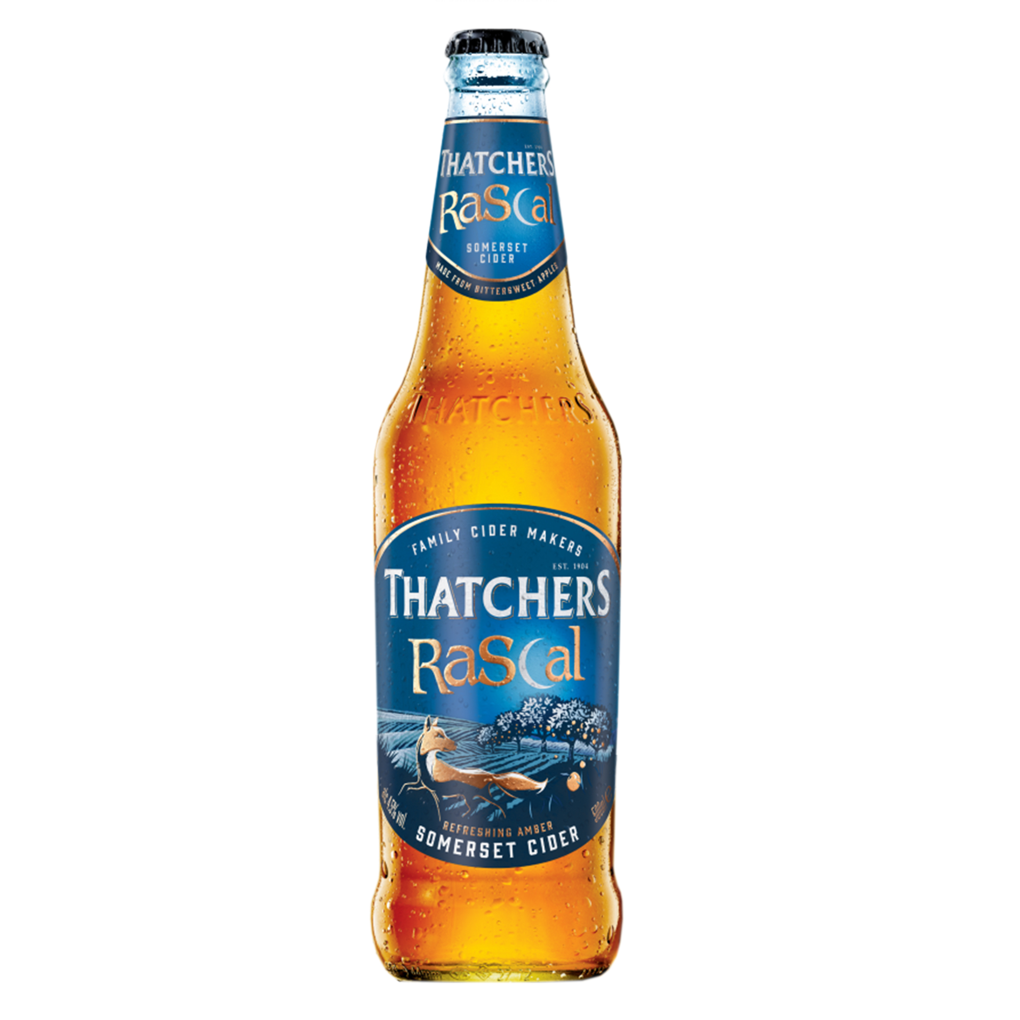 Thatchers Rascal Cider 500ml Thatchers Rascal Cider 500ml