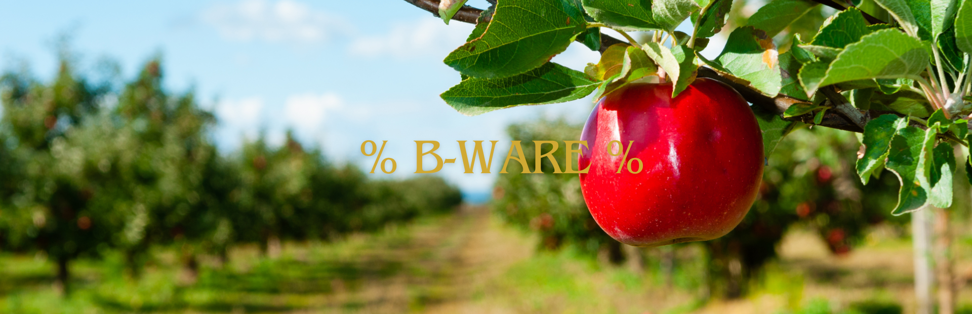% B-Ware %